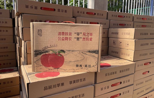 FB体育“扶贫助农，振兴乡村”活动